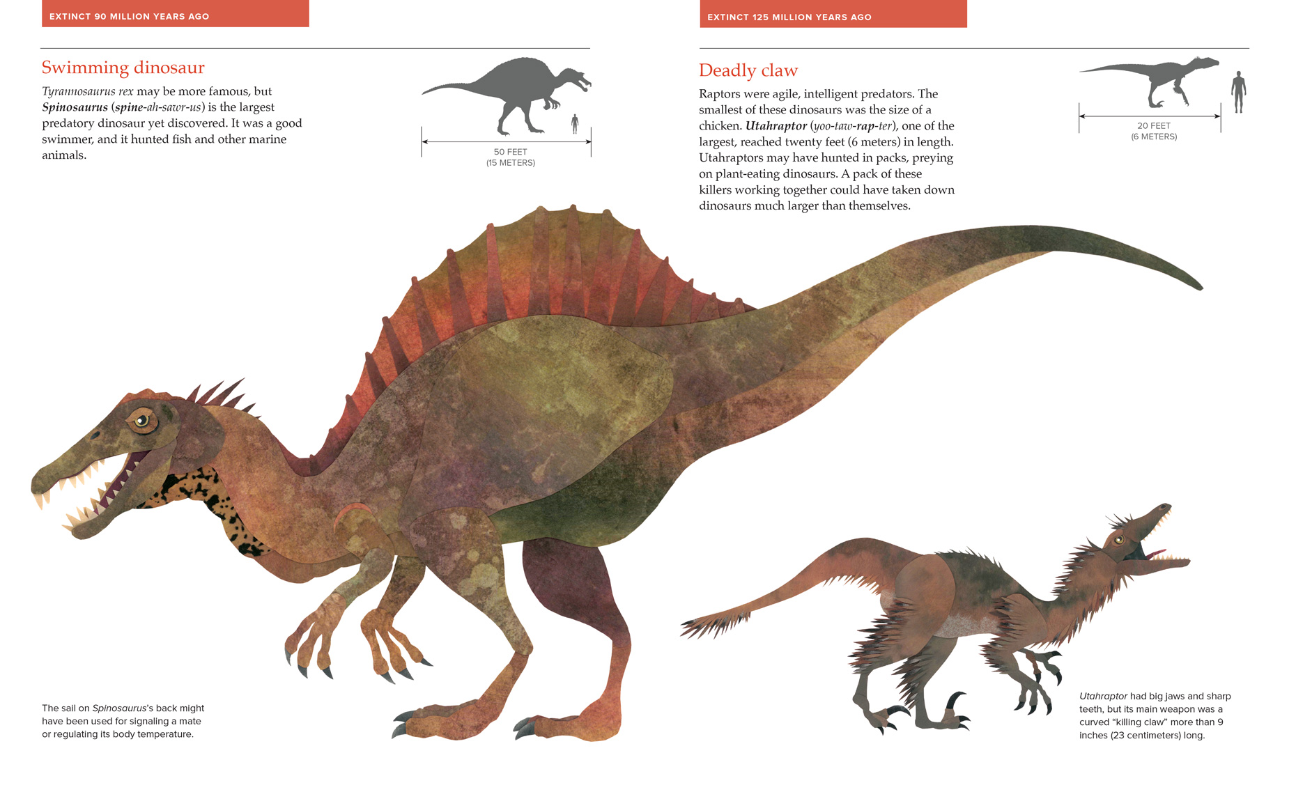 APEX_PREDATORS_interior_4_web